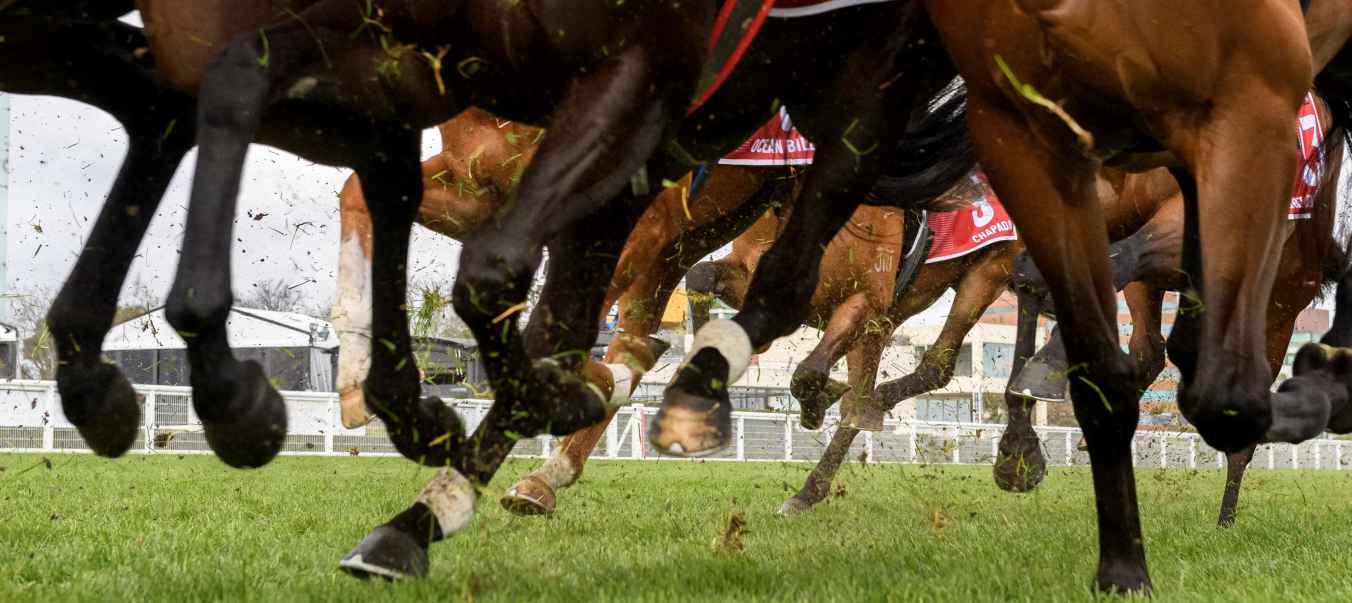 Melbourne Cup Order of Entry